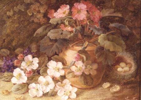 Still Life with Apple Blossom, Primula and Bird's Nest van Vincent Clare