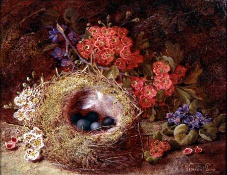 Still life of a bird's nest and blossom van Vincent Clare