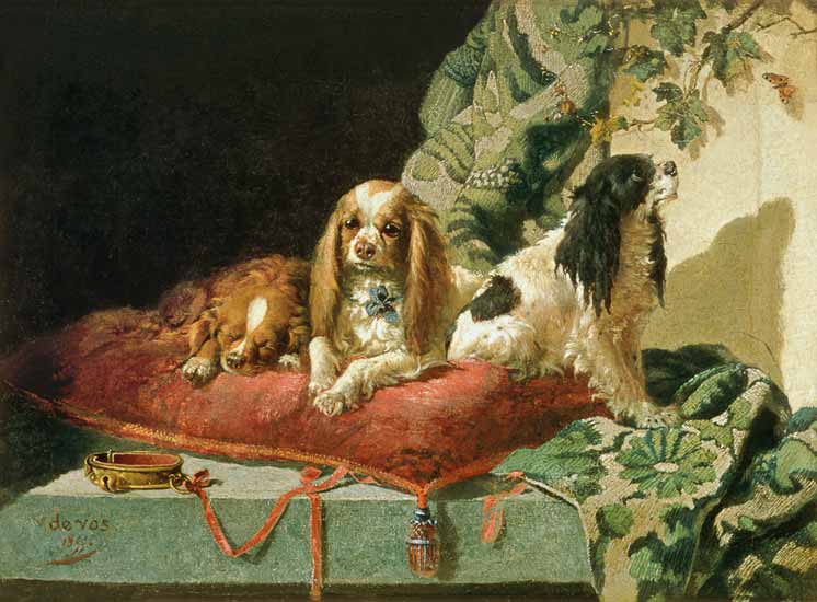 King Charles Spaniels van Vincent de Vos