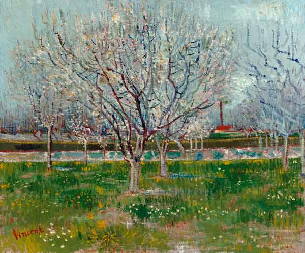 Bloeiende boomgaard van Vincent van Gogh