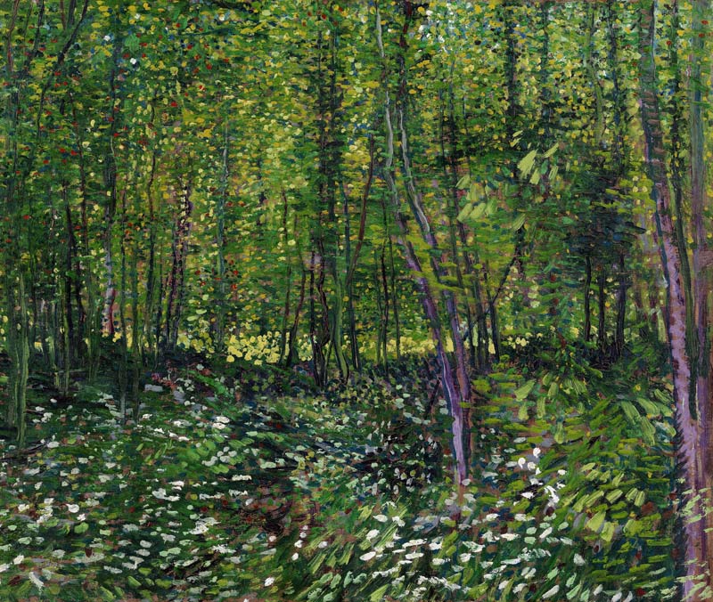 Trees and underwood van Vincent van Gogh