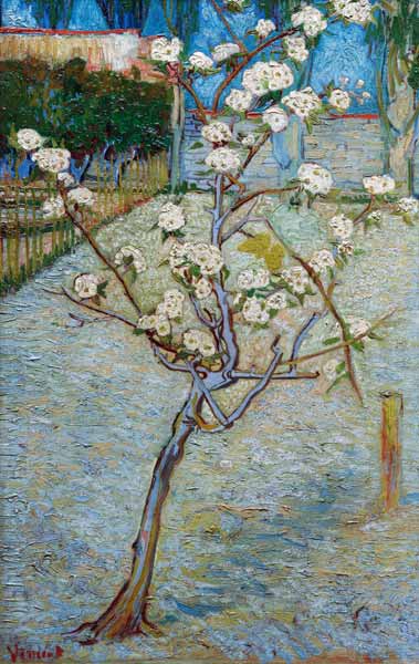van Gogh/Blossoming pear tree/April 1888 van Vincent van Gogh