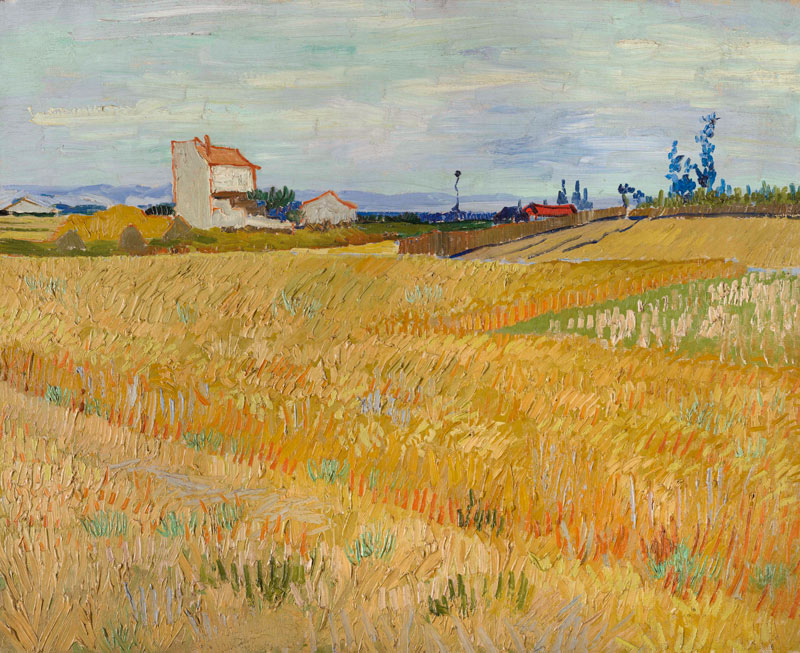 Van Gogh / Cornfield / c.1888 van Vincent van Gogh