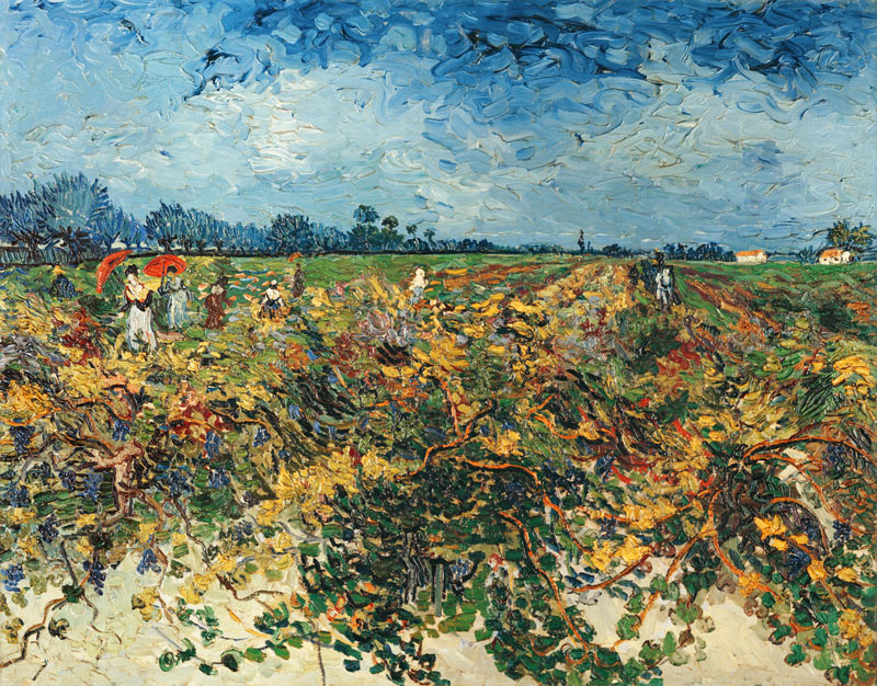 Der Weinberg van Vincent van Gogh