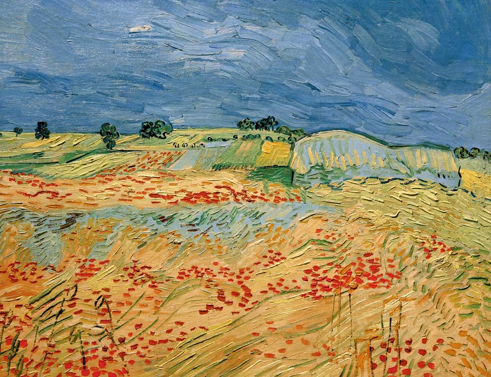 Van Gogh / Fields with Blooming Poppies van Vincent van Gogh