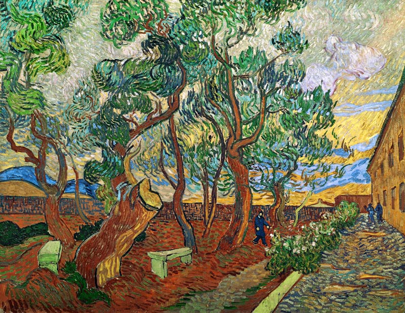 van Gogh / Garden of St.Paul Hospital van Vincent van Gogh