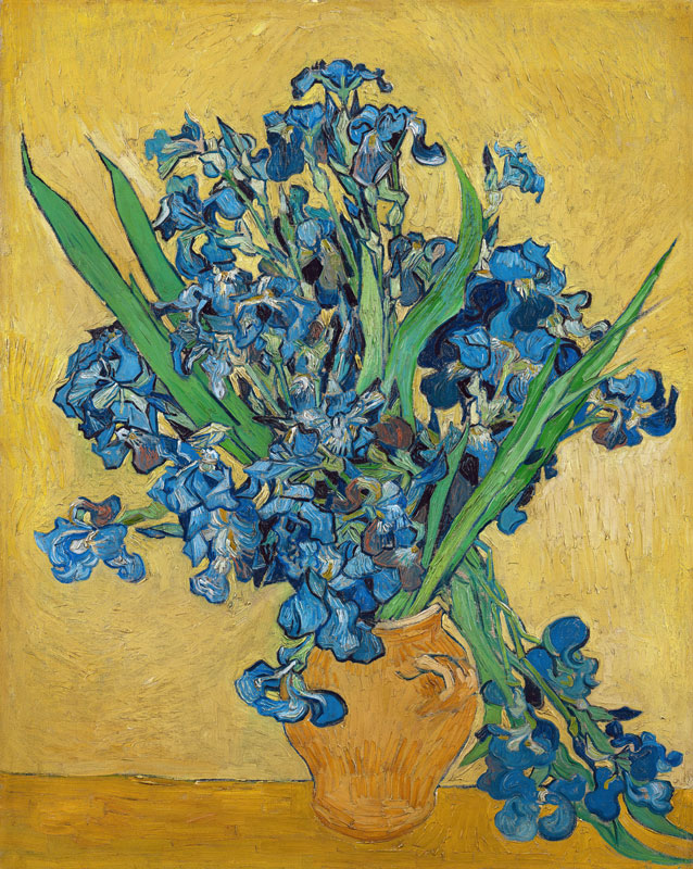 Vaas Irissen  van Vincent van Gogh