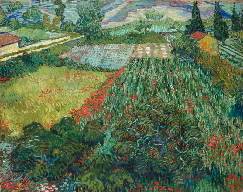 Feld mit Mohnblumen van Vincent van Gogh