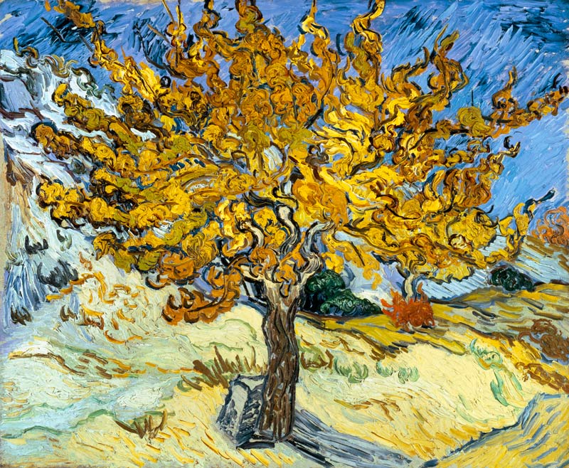 Moerbeiboom  van Vincent van Gogh