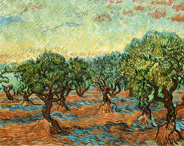 Olijfboomgaard van Vincent van Gogh
