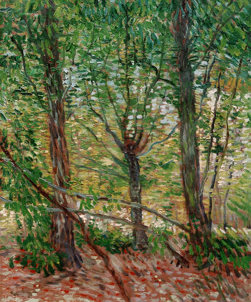 Trees and Undergrowth van Vincent van Gogh