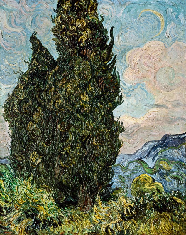 Irissen Vincent van Gogh van Vincent van Gogh