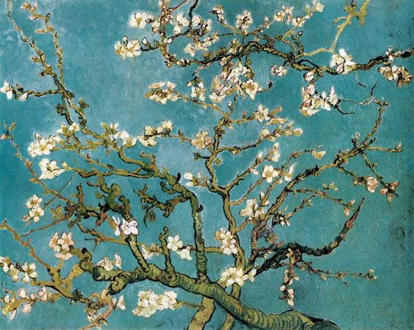 Amandelbloesem  van Vincent van Gogh