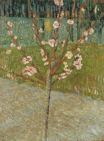 Almond tree in blossom van Vincent van Gogh