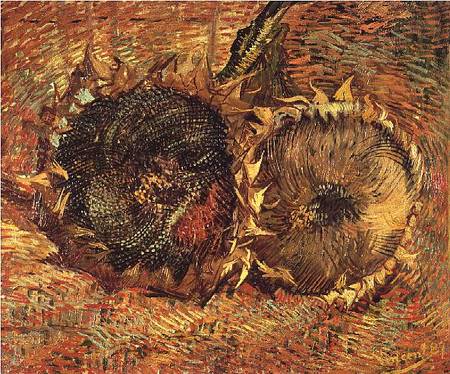 Two Cut Sunflowers van Vincent van Gogh