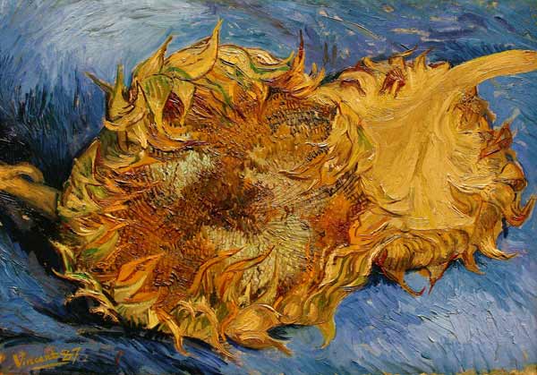 The Sunflowers van Vincent van Gogh