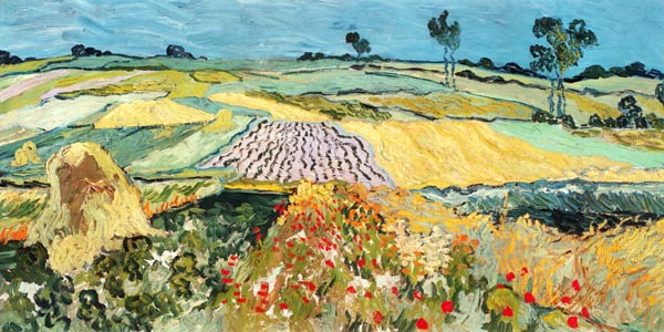 Vlakte bij Auvers van Vincent van Gogh