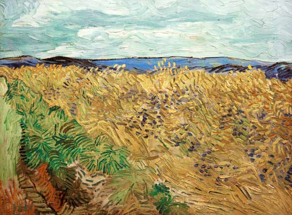 Veld met korenbloemen van Vincent van Gogh