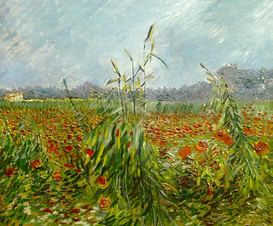 Groene maïsstengels van Vincent van Gogh