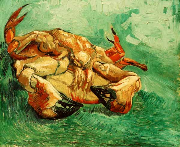 Krebs auf dem Rücken liegend van Vincent van Gogh