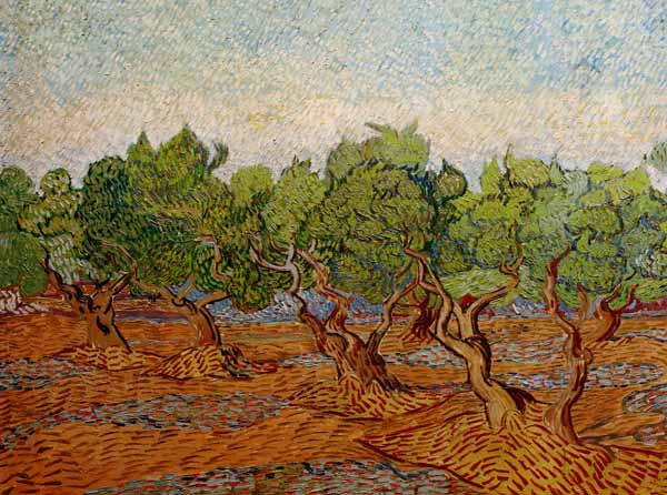 Van Gogh, Olive Grove / Paint./ 1889 van Vincent van Gogh