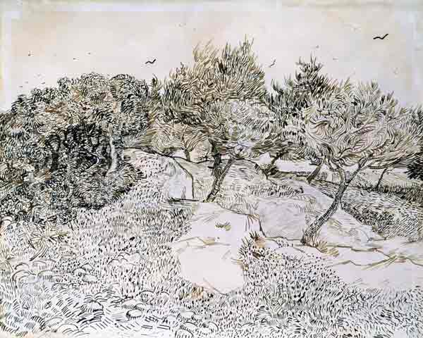 The Olive Trees (pen & ink on paper) van Vincent van Gogh