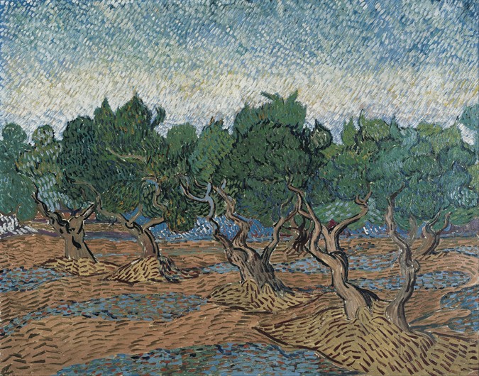 Olive grove van Vincent van Gogh