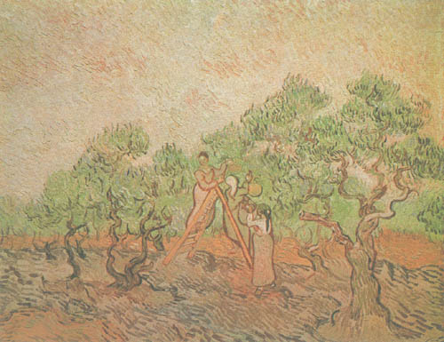 Olivenpflücker van Vincent van Gogh