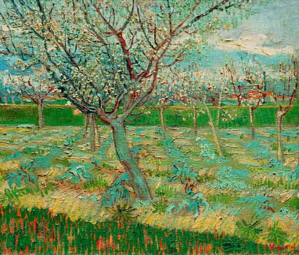 van Gogh / Orchard in Blossom / 1888 van Vincent van Gogh