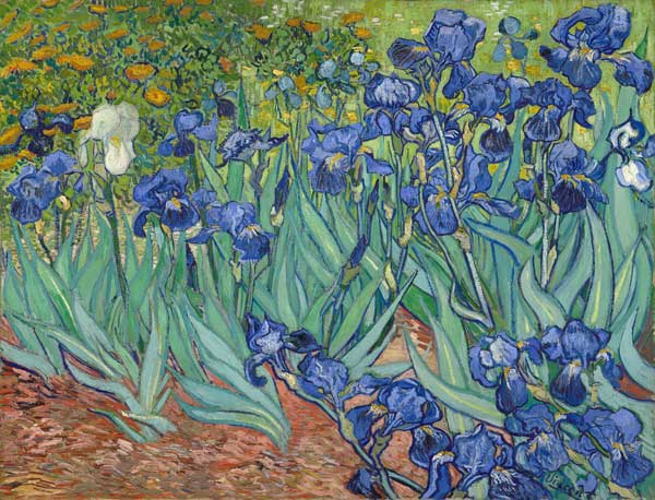 Irissen  van Vincent van Gogh