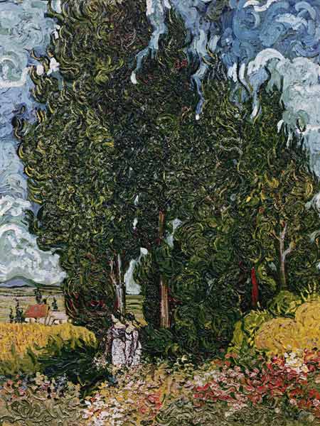 The cypresses, c.1889-90 van Vincent van Gogh