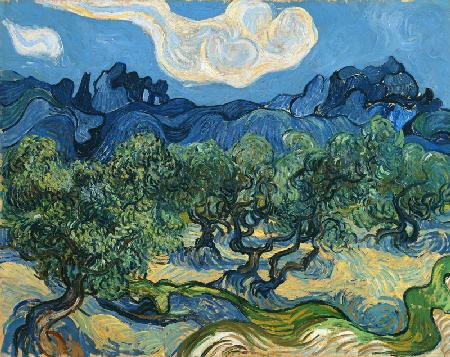 Landschap met olijfbomen Vincent van Gogh