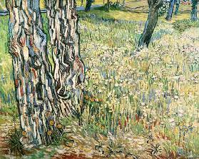 Boomwortels Vincent van Gogh