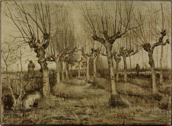 V.van Gogh, Pollard Birches / Draw./1884 van Vincent van Gogh