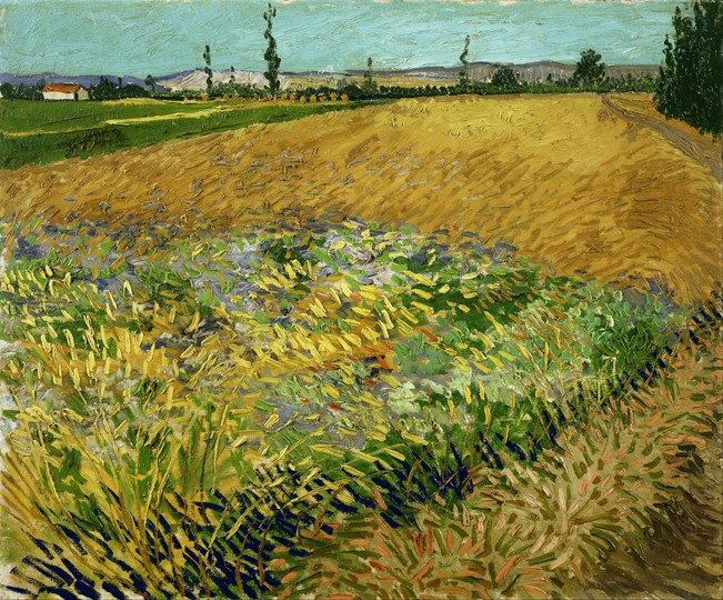 Wheatfield van Vincent van Gogh