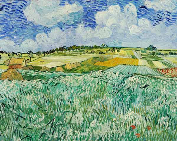 De vlakte bij Auvers van Vincent van Gogh