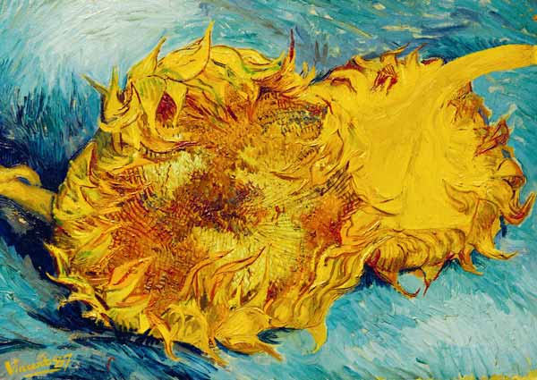 Twee afgesneden zonnebloemen van Vincent van Gogh