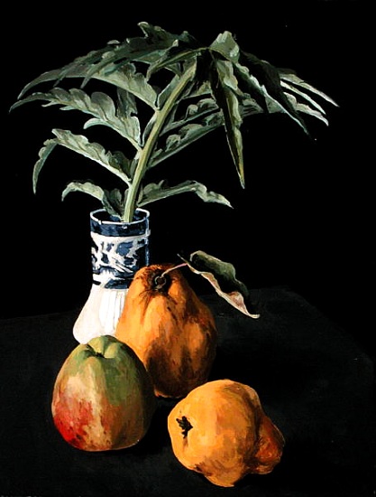 Still Life with Fruit van  Vincent  Yorke