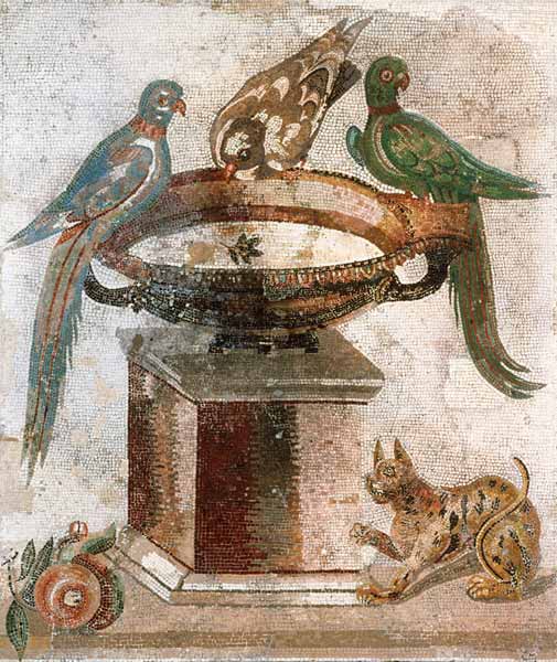 Vögel an der Tränke. van Vittorio Zecchin