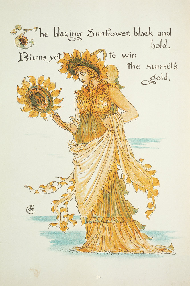 Sunflower van Walter Crane