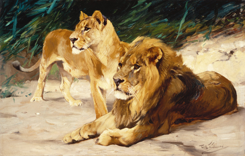 Löwenpaar. van Wilhelm Kuhnert