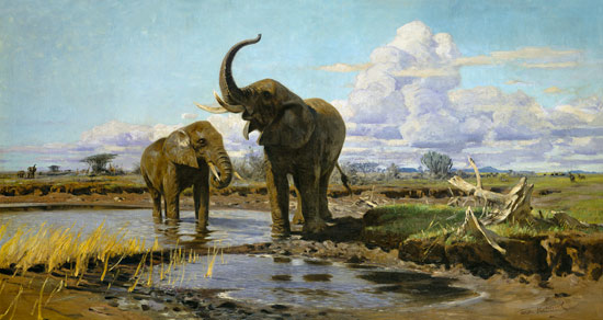 Elefanten an der Wasserstelle van Wilhelm Kuhnert