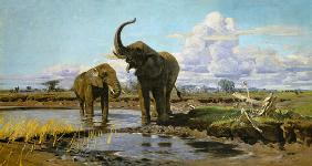 Elefanten an der Wasserstelle