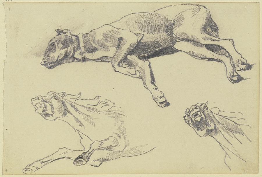 Studienblatt: Die Dogge Cäsar, auf der Seite liegend nach links, schlafend; darunter zwei Pferdestud van Wilhelm Trübner