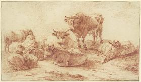 Gruppe von drei Ochsen und sechs Schafen