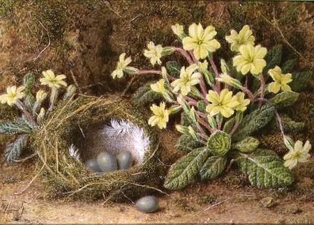 Still Life of Eggs in a Nest and Primroses van William B. Hough