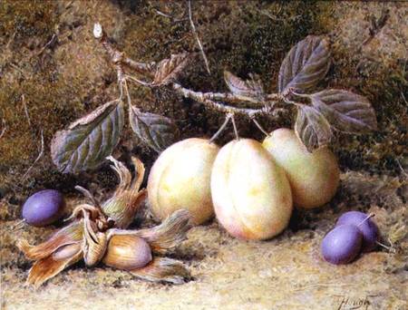 Still Life with plums and nuts van William B. Hough