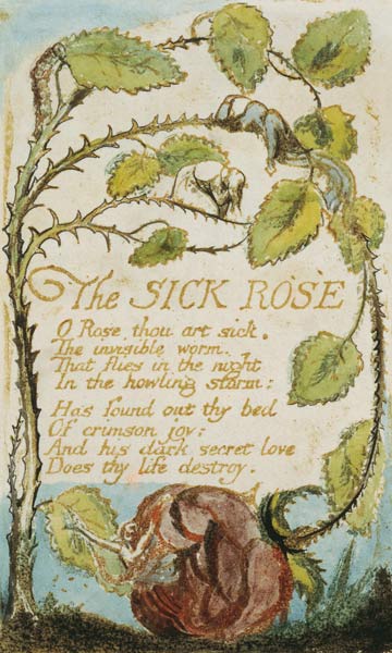 The Sick Rose, from Songs of Innocence van William Blake