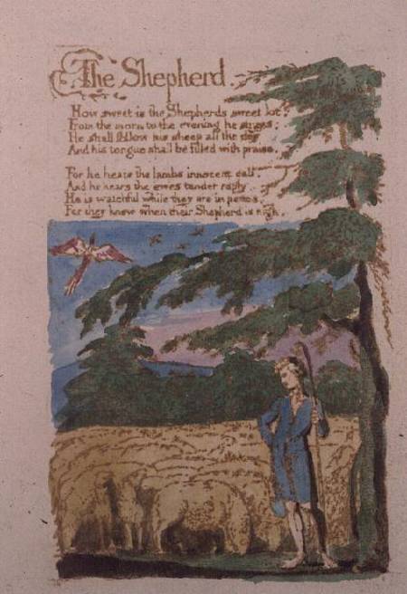The Shepherd from Songs of Innocence van William Blake