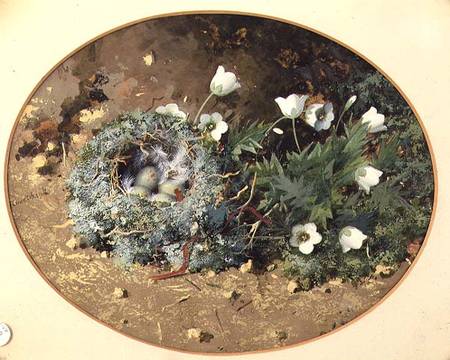 Bird's Nest with White Harebells van William Cruikshank